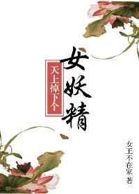 天上掉下个美娇娘全文阅读