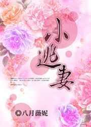 小逃妻内容简介