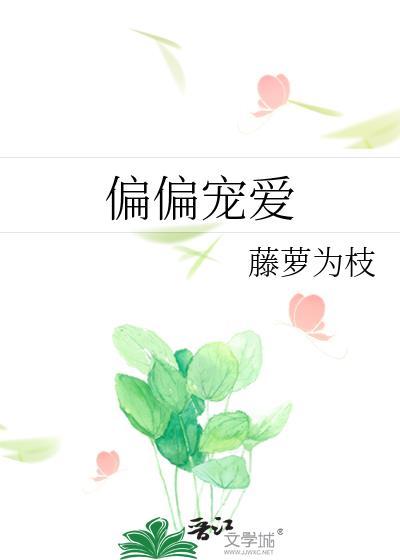 偏偏宠爱txt