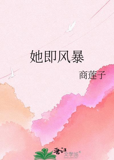 她即风暴全文免费阅读