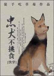 忠犬不挑食快穿