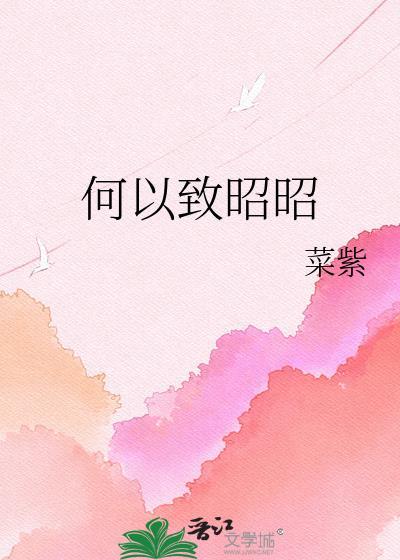 何以致昭昭TXT