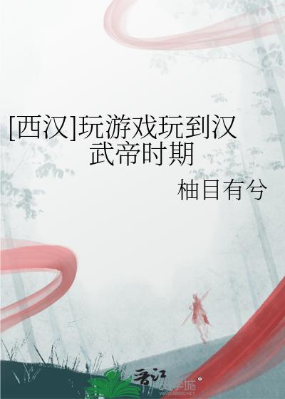 汉武帝时代游侠
