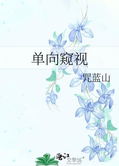 单向视觉流程
