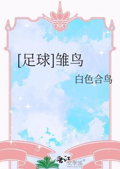 足球雏鸟TXT百度