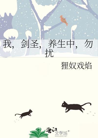 我的剑圣美母
