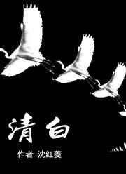 清白之年txt