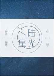 歌手陆光星简介