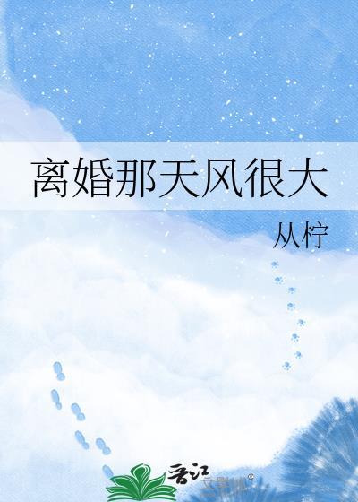 离婚那天风很大txt