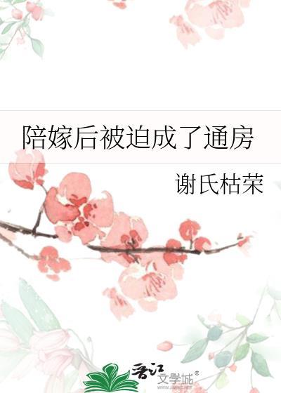 陪嫁做通房