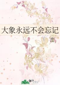 大象永远不会忘记 峦