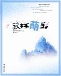 武林萌主长篇