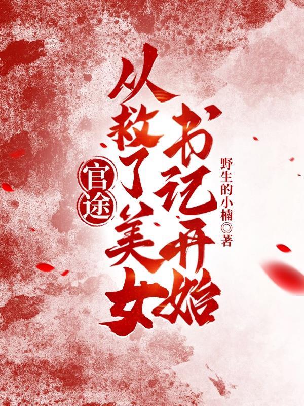官途从救了美女书记开始权力巅峰丁长生