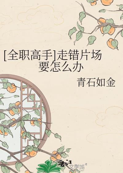 全职高手的遗憾