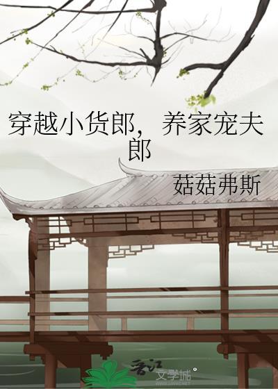 穿越小货郎养家宠夫郎盘