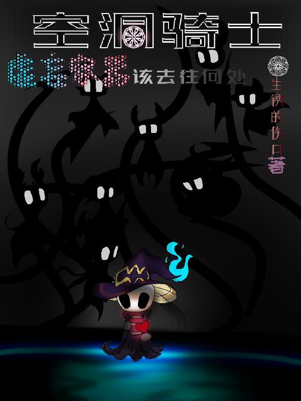 空洞骑士 虚空之心作用