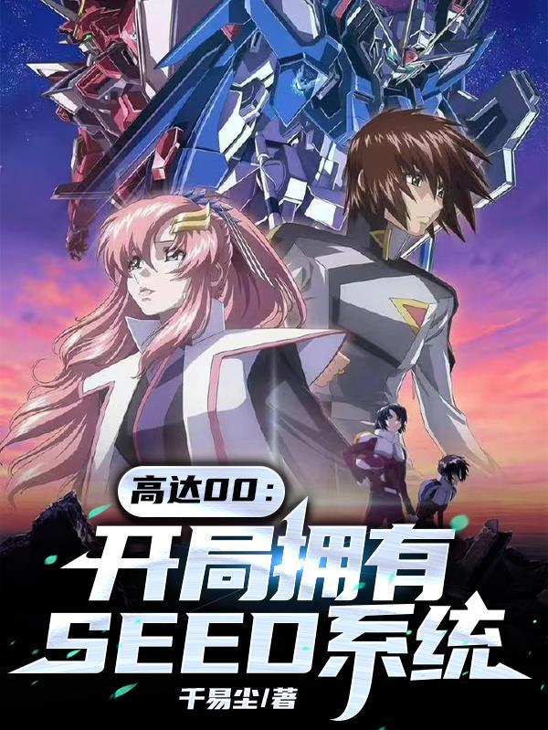 高达00 系统