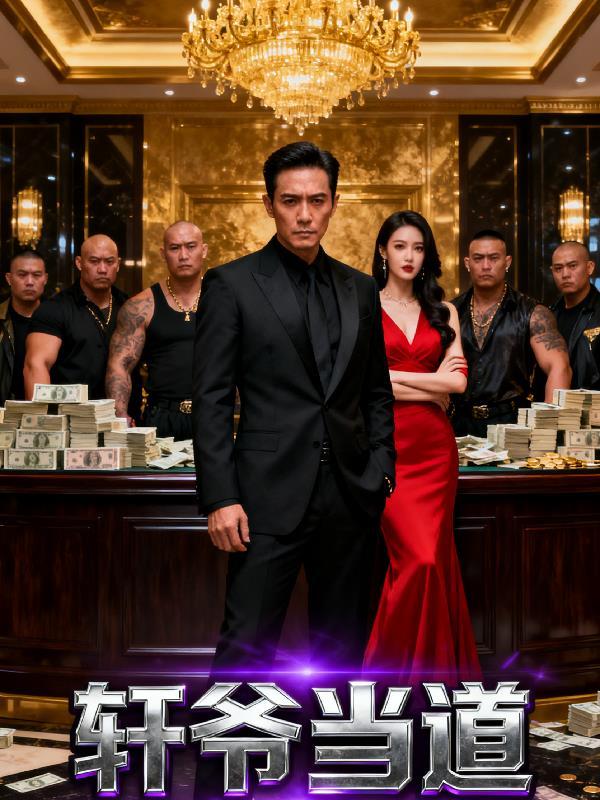 轩少爷是什么电视剧