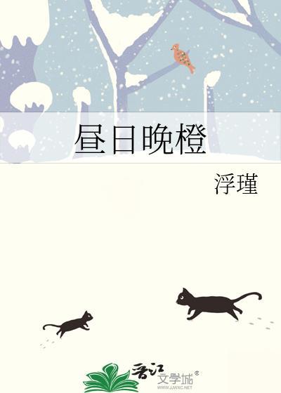 昼日晚橙浮瑾讲什么