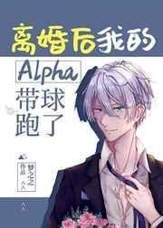 离婚后我的alpha带球跑了免费阅读