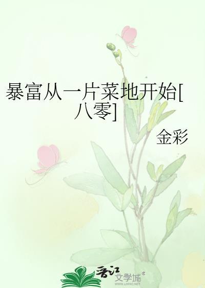 暴富从摆摊完整版