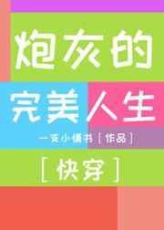 炮灰的人生快穿2书旗网