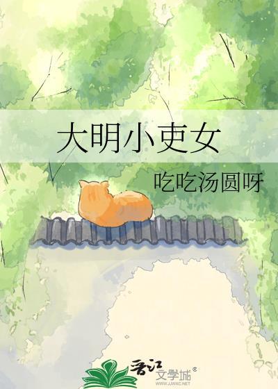 大明小吏女讲的什么