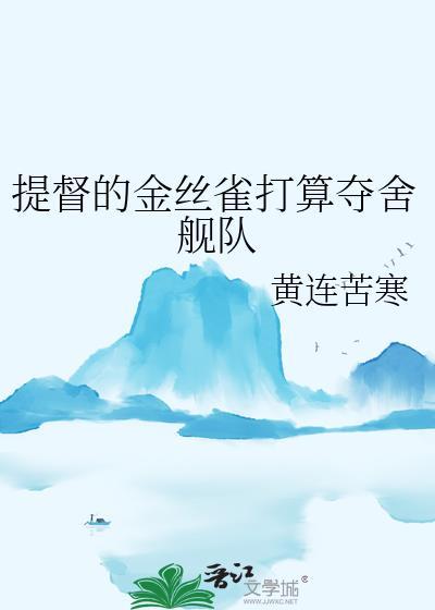 提督的进化