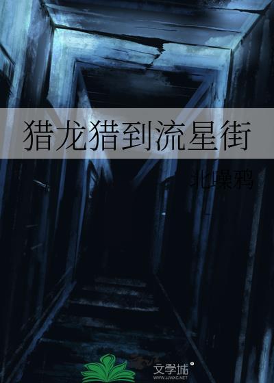 猎龙猎到流星街txt