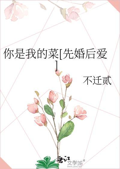 你是我的菜网剧