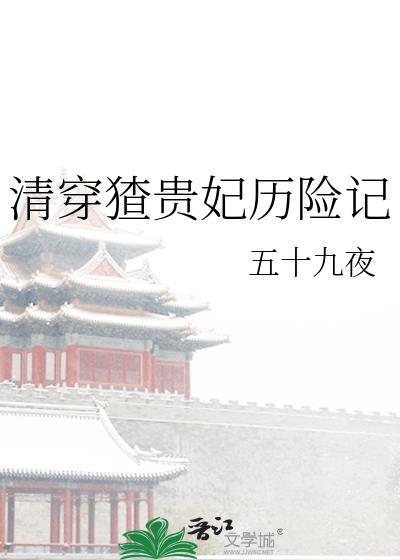 清穿贵妃文