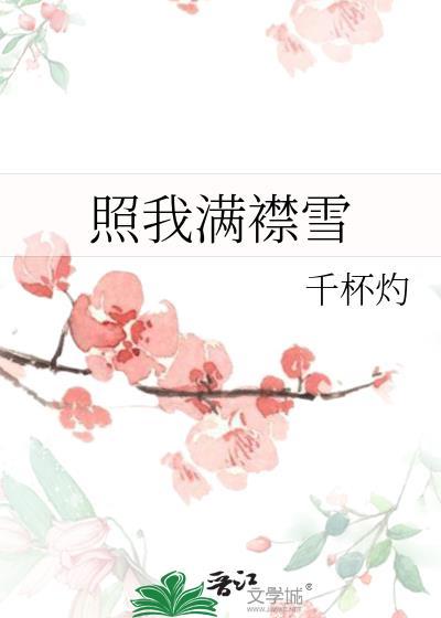 照我满襟雪TXT百度