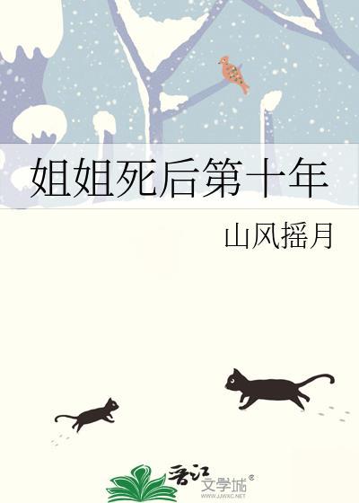 姐姐死后第十年完结了吗