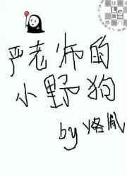 严老师阅读答案
