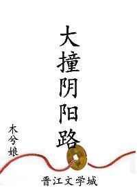 大撞阴阳路256书网