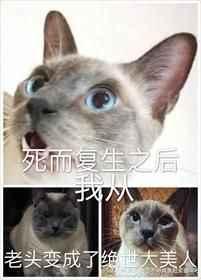 死而复生后我从老头变成了绝世美人免费阅读