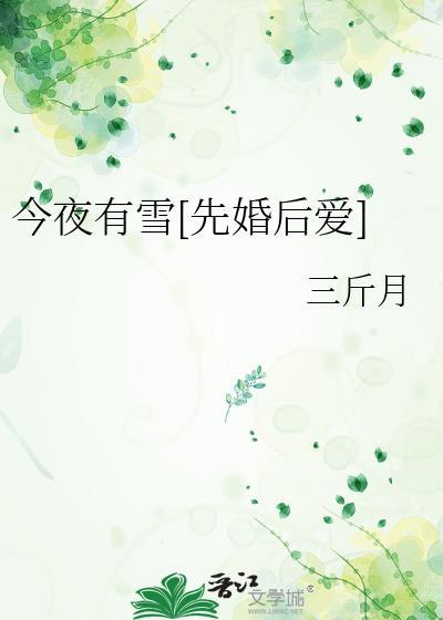 今夜有雪完整版
