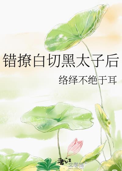 错撩白切黑太子后络绎不绝耳