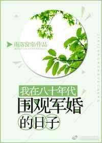 我在八零围观军婚的日子