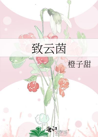 致云茵全文阅读