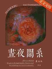 昼夜关系澜笙在线阅读