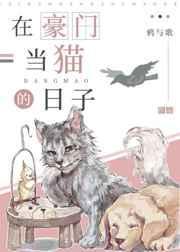 在豪门当了八年私厨免费阅读