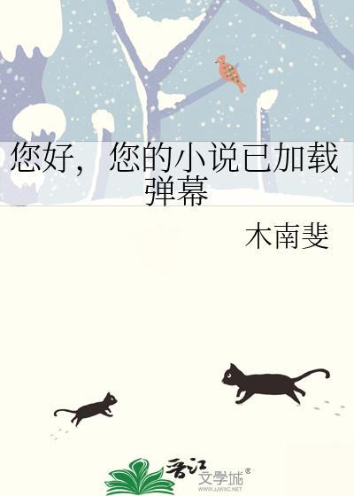 您好您的已加载弹幕txt