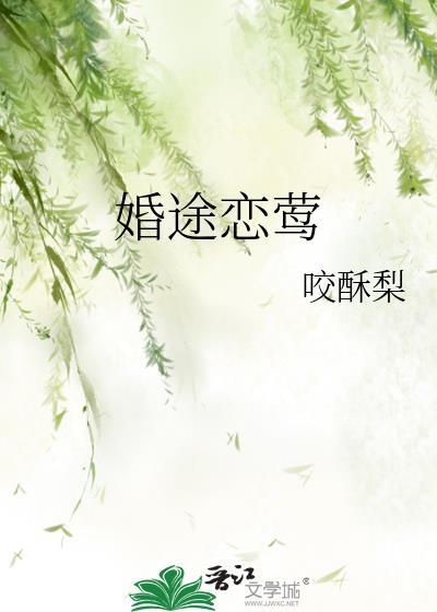 婚途讲的什么