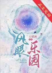 风眼乐园txt