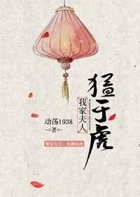 我家夫人的全集