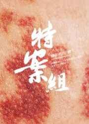 特殊案件调查组v