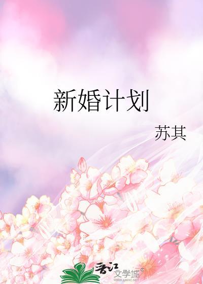 新婚计划苏其全文txt