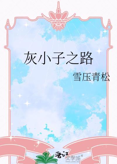 灰小子之路txt资源