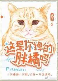 这是你掉男朋友吗原著免费阅读